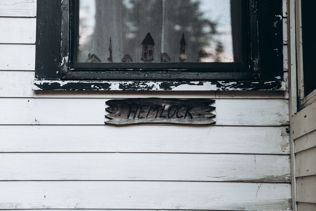 Unintentionally Unplugged: Sebago Lake, Maine